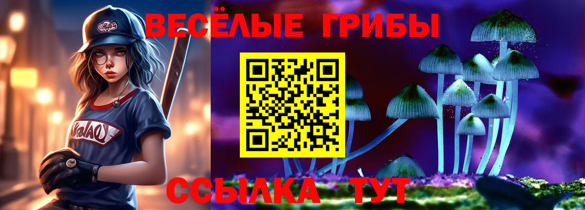 Галлюциногенные грибы прущие грибы  Вход с VPN  Галлюциногенные грибы Psilocybe  Ялуторовск 